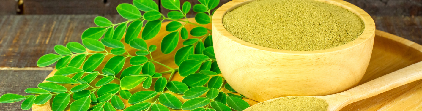 13 Things About Moringa Use For Better Health You May Not Have Known - Dr Trust