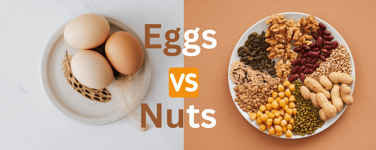 Eggs or nuts: Which Is A Good Breakfast Choice In Winter? - Dr Trust
