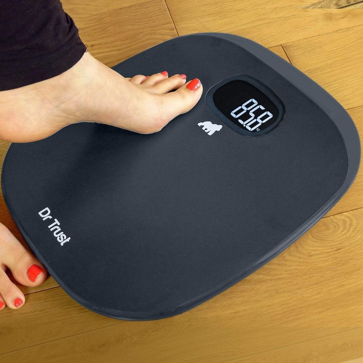 Dr Trust USA ABS Absolute Personal Scale (Grey)